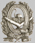 Unofficial badge of the 5th Light Horse Regiment